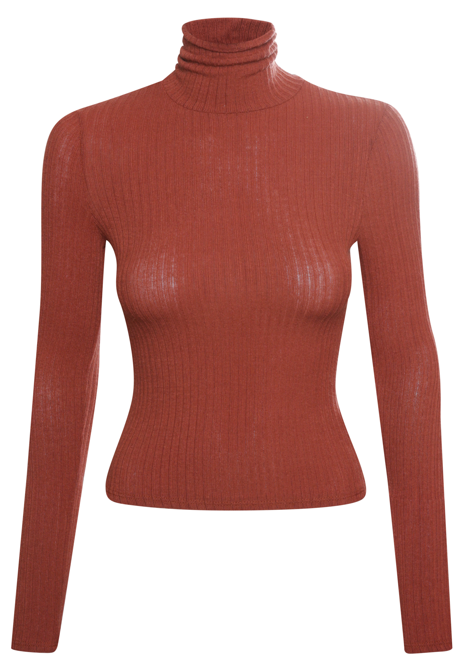 Turtleneck Top