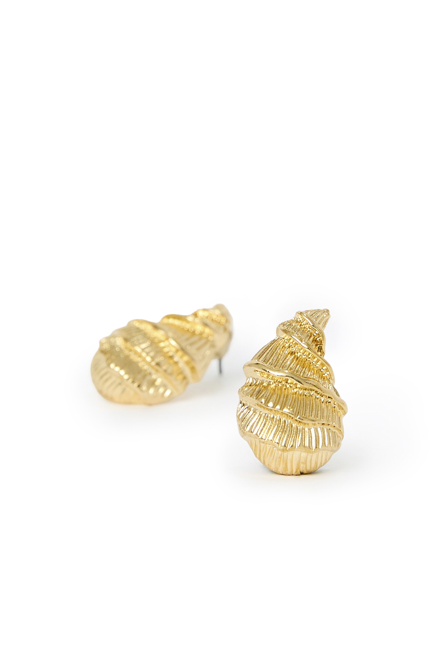 Conch Shaped Earrings