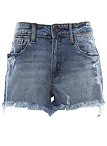 KUT from the Kloth Jane High Rise Short